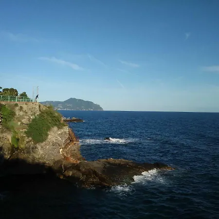 Nervi *
