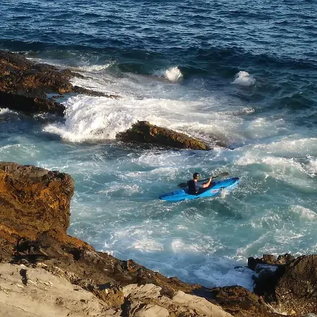 Nervi *