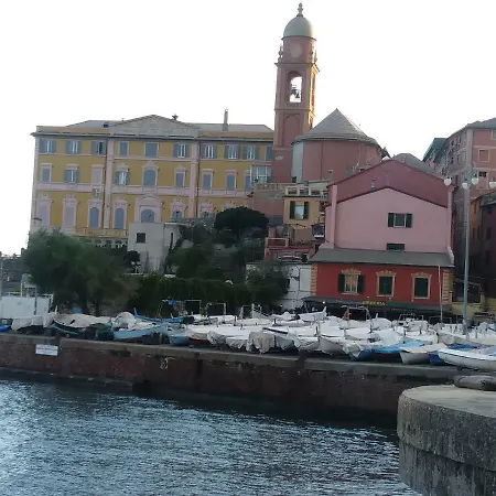 Nervi